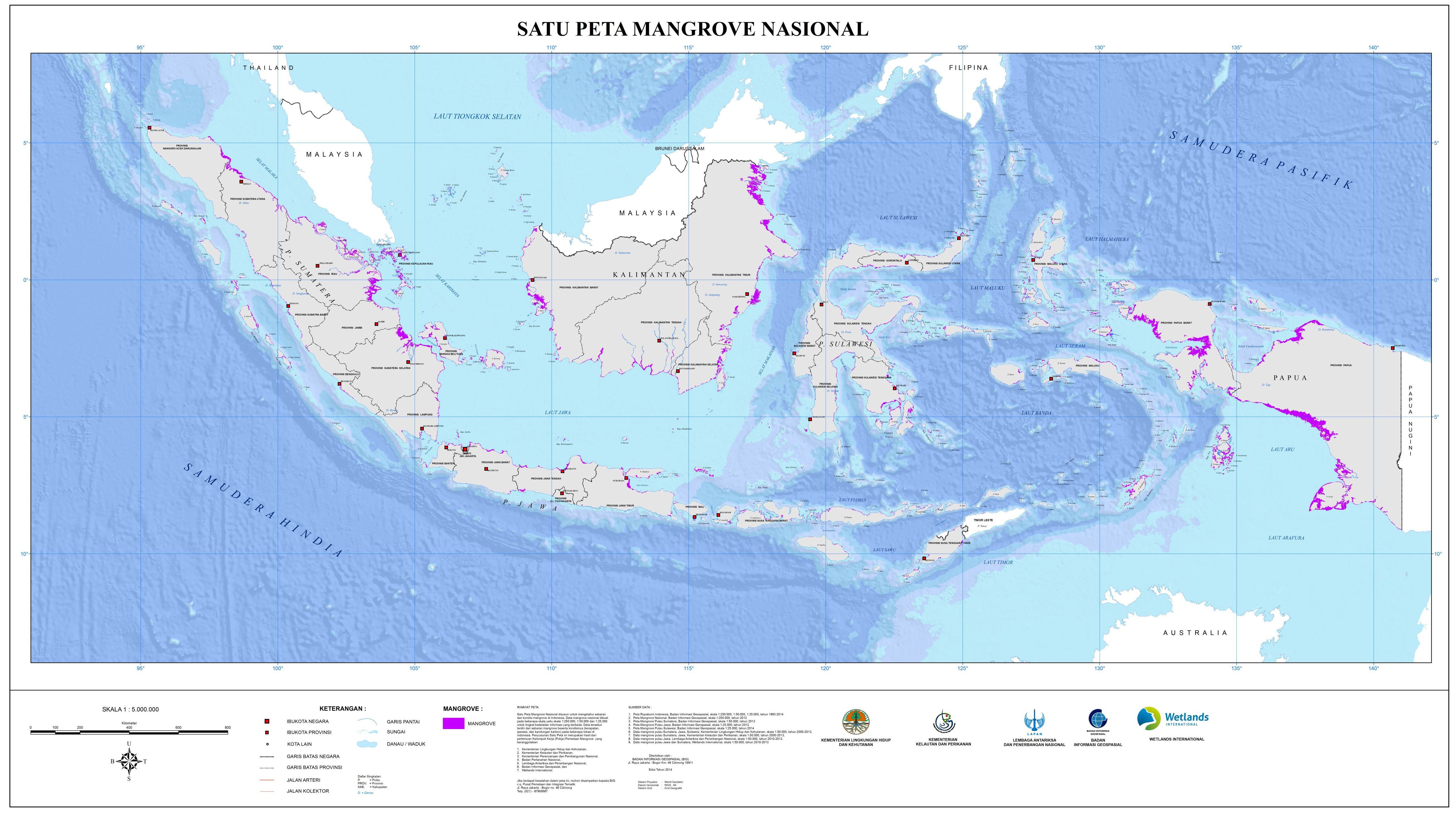 Mangrove: The Next Truf Card Indonesia