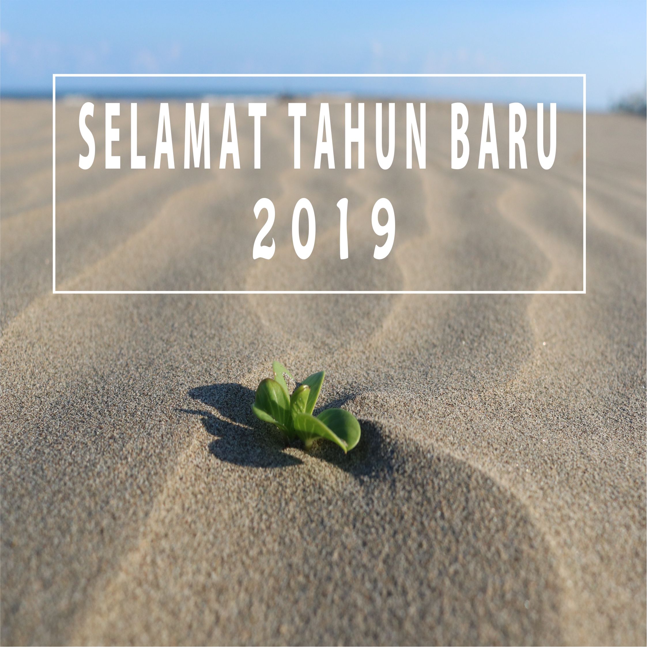 Selamat Tahun Baru 2019